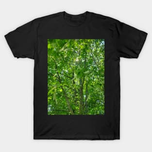 Black Cherry Blossoms T-Shirt